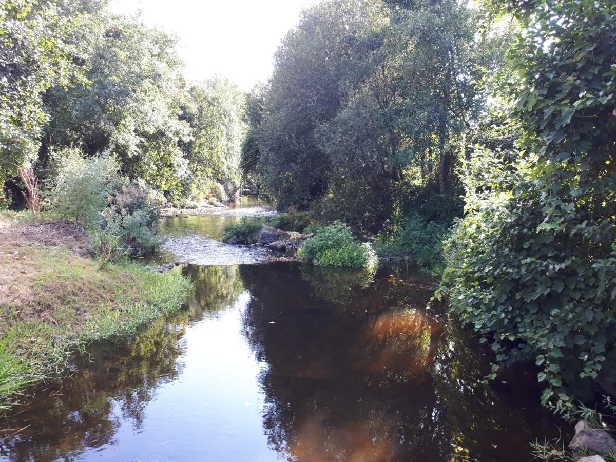 Dream Corner By Waterfalls, 20 Min To Oporto, By Porto With Love Lda Parada  외부 사진