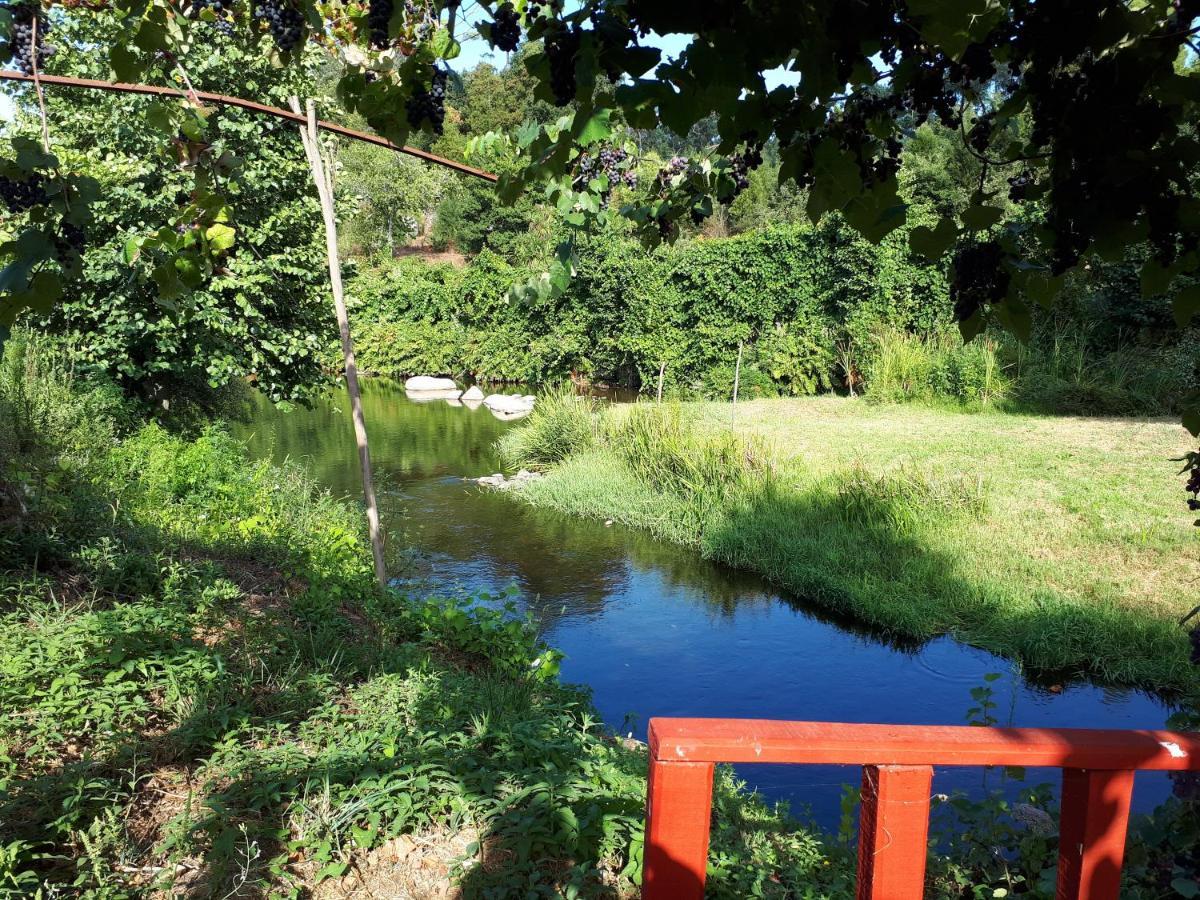 Dream Corner By Waterfalls, 20 Min To Oporto, By Porto With Love Lda Parada  외부 사진